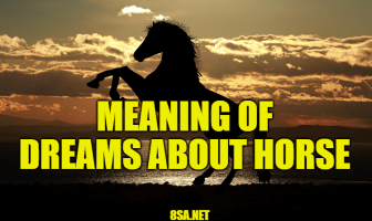 What Does Horse Mean in a Dream? Meaning of Dreams About Horses