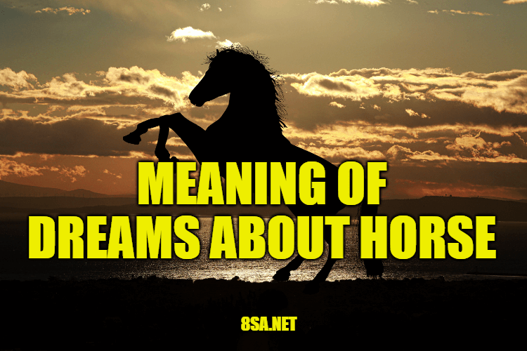 What Does Horse Mean in a Dream? Meaning of Dreams About Horses