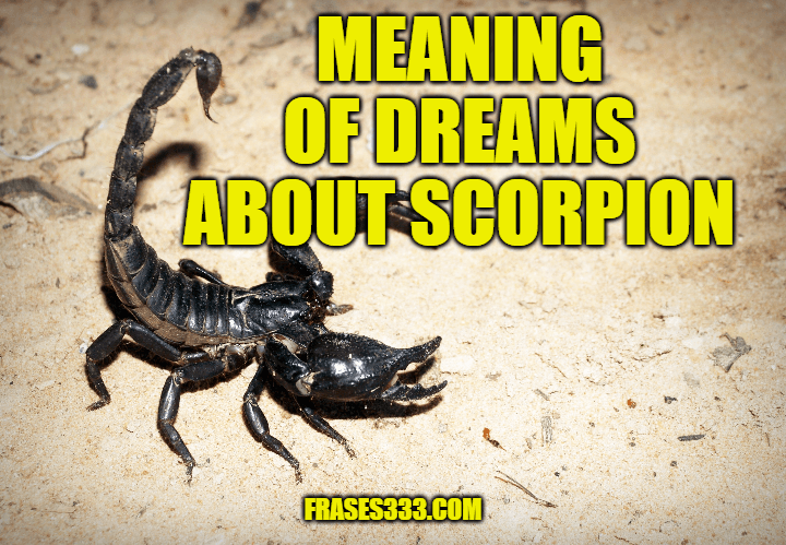 What Does Scorpion Mean in a Dream? Meaning of Dreams About Scorpions