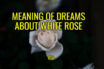 Dreaming of White Rose