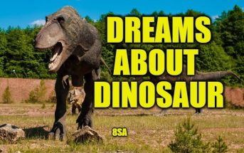 Dreams About Dinosaur