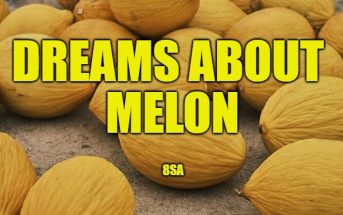 Dreams About Melon