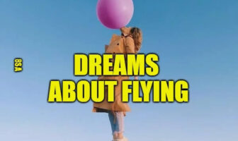 flying dream