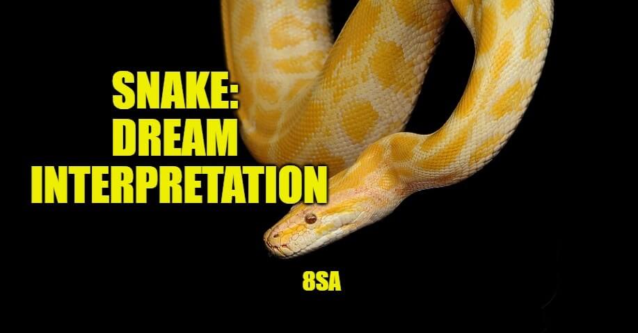 snake dream